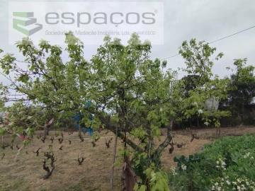 Terreno para Venda em Escalos de Cima e Lousa