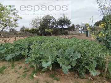 Terreno para Venda em Escalos de Cima e Lousa