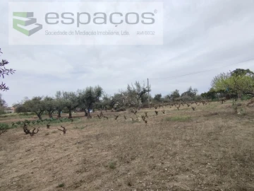Terreno para Venda em Escalos de Cima e Lousa
