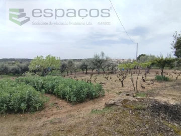 Terreno para Venda em Escalos de Cima e Lousa