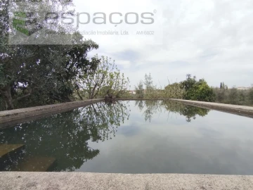 Terreno para Venda em Escalos de Cima e Lousa