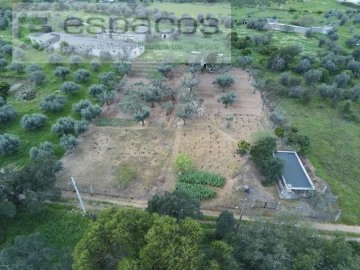 Terreno para Venda em Escalos de Cima e Lousa