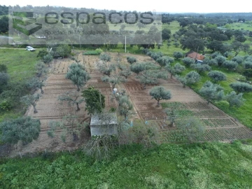 Terreno para Venda em Escalos de Cima e Lousa