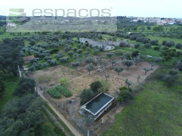 Terreno para Venda em Escalos de Cima e Lousa