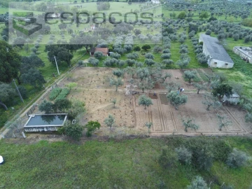 Terreno para Venda em Escalos de Cima e Lousa