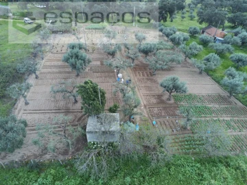 Terreno para Venda em Escalos de Cima e Lousa