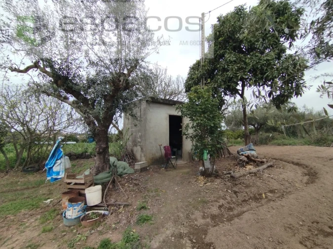 Terreno para Venda em Escalos de Cima e Lousa Foto 6