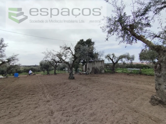Terreno para Venda em Escalos de Cima e Lousa Foto 8