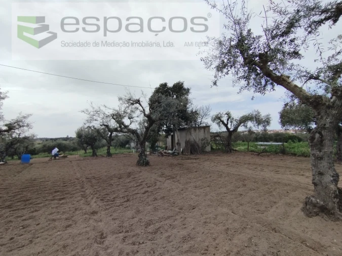 Terreno para Venda em Escalos de Cima e Lousa Foto 10