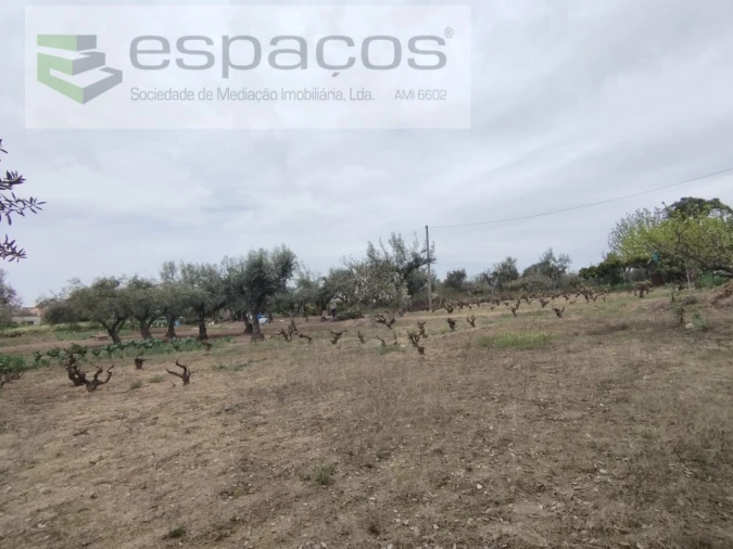 Terreno para Venda em Escalos de Cima e Lousa Foto 16