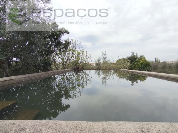 Terreno para Venda em Escalos de Cima e Lousa Foto 20