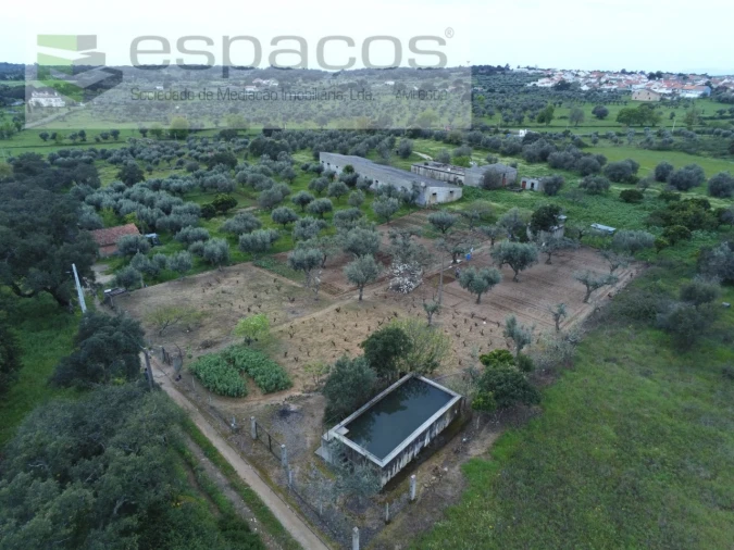 Terreno para Venda em Escalos de Cima e Lousa Foto 23