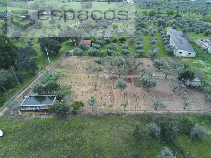 Terreno para Venda em Escalos de Cima e Lousa Foto 24