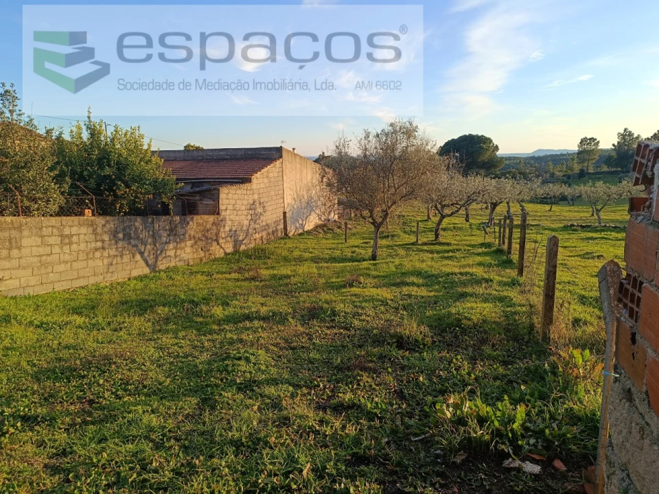 Terreno para Venda em Cebolais de Cima e Retaxo Foto 1