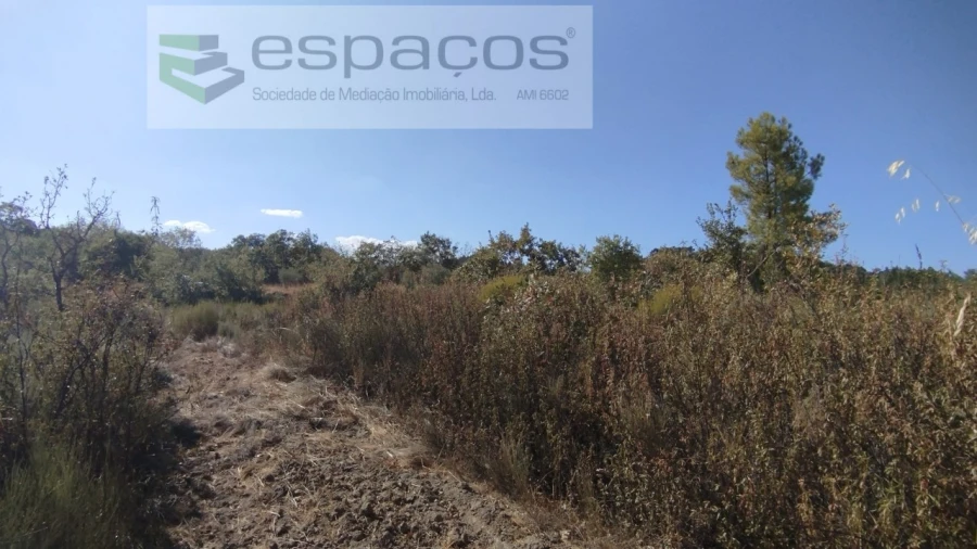 Terreno para Venda em Salvador Foto 5