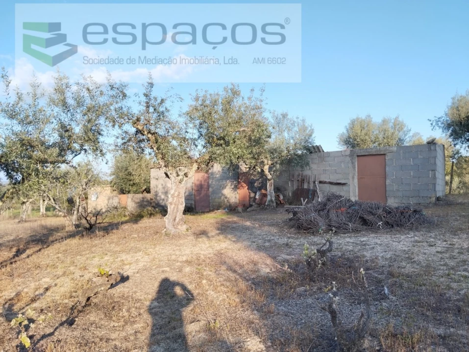 Terreno para Venda em Escalos de Cima e Lousa Foto 11