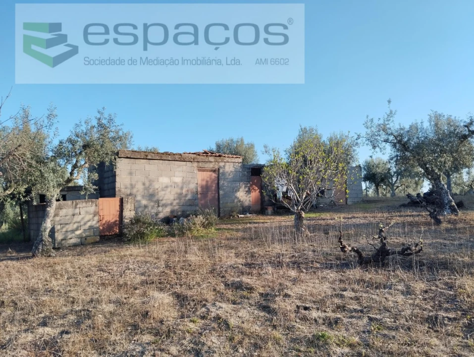 Terreno para Venda em Escalos de Cima e Lousa Foto 12