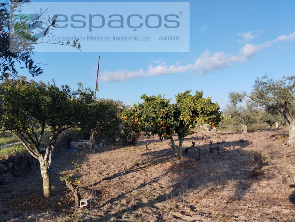 Terreno para Venda em Escalos de Cima e Lousa Foto 1