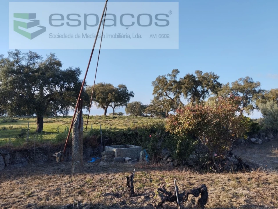 Terreno para Venda em Escalos de Cima e Lousa Foto 15