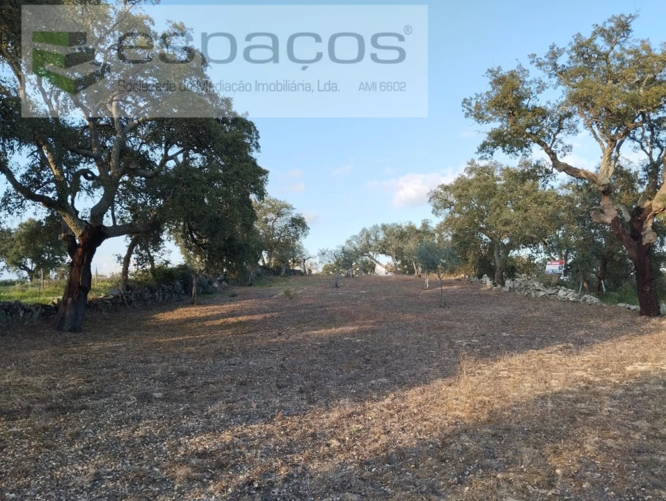 Terreno para Venda em Escalos de Cima e Lousa Foto 18