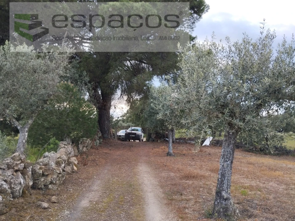 Terreno para Venda em Escalos de Cima e Lousa Foto 7
