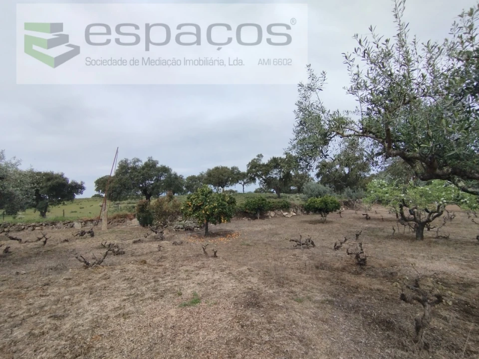 Terreno para Venda em Escalos de Cima e Lousa Foto 23