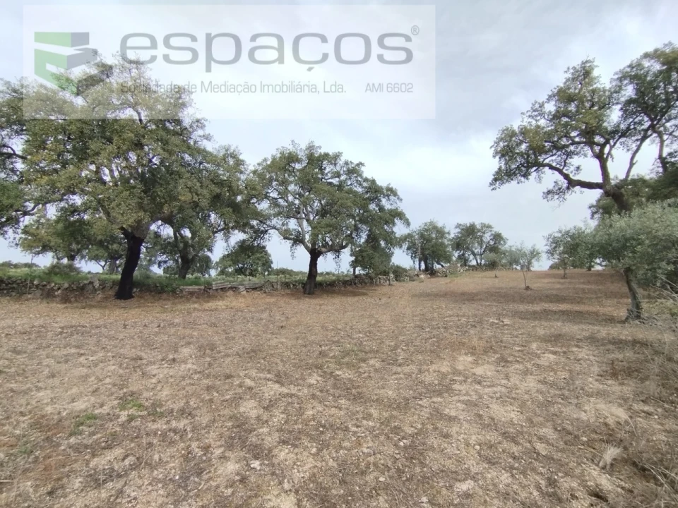 Terreno para Venda em Escalos de Cima e Lousa Foto 26