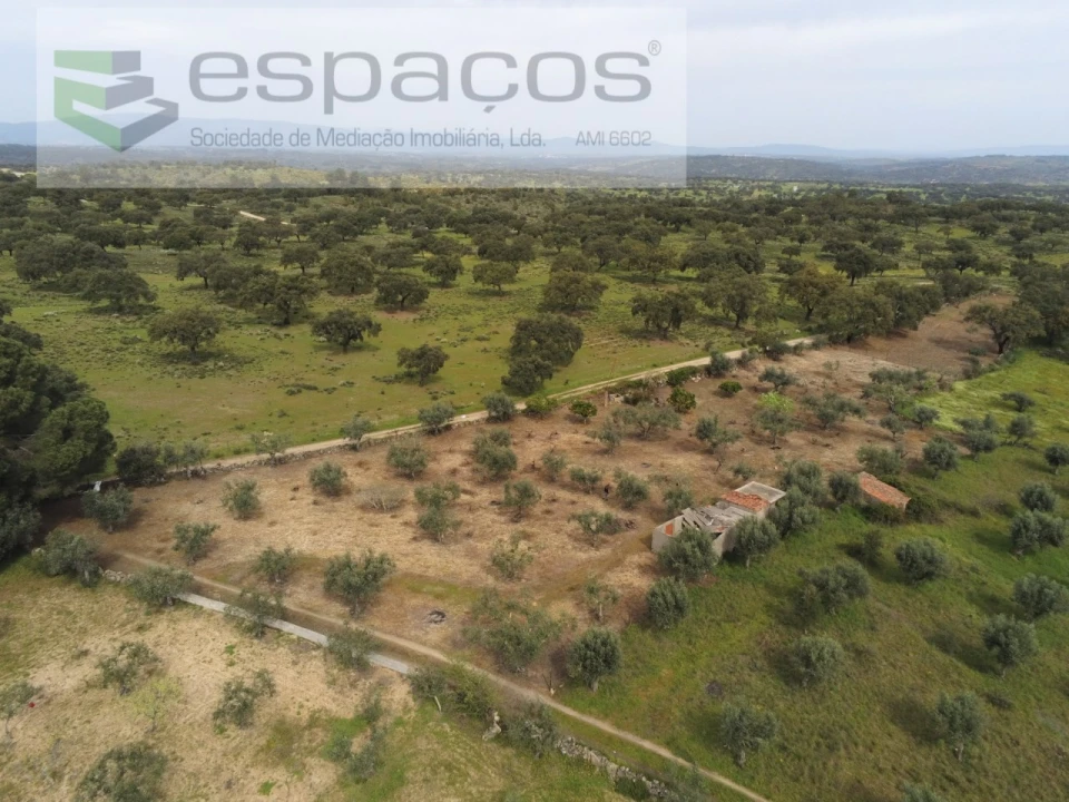 Terreno para Venda em Escalos de Cima e Lousa Foto 5