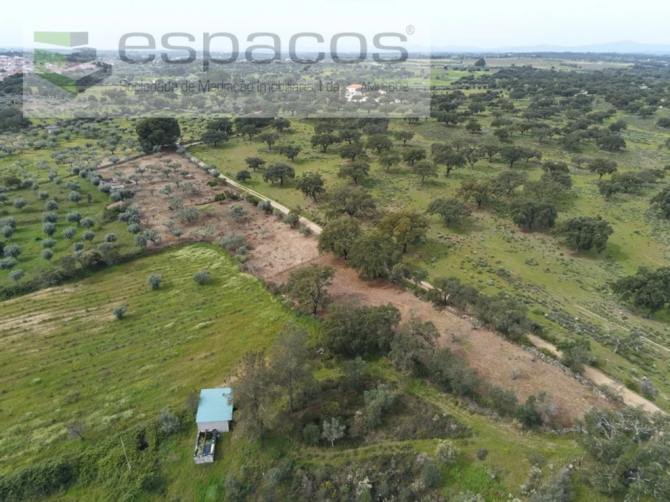 Terreno para Venda em Escalos de Cima e Lousa Foto 27