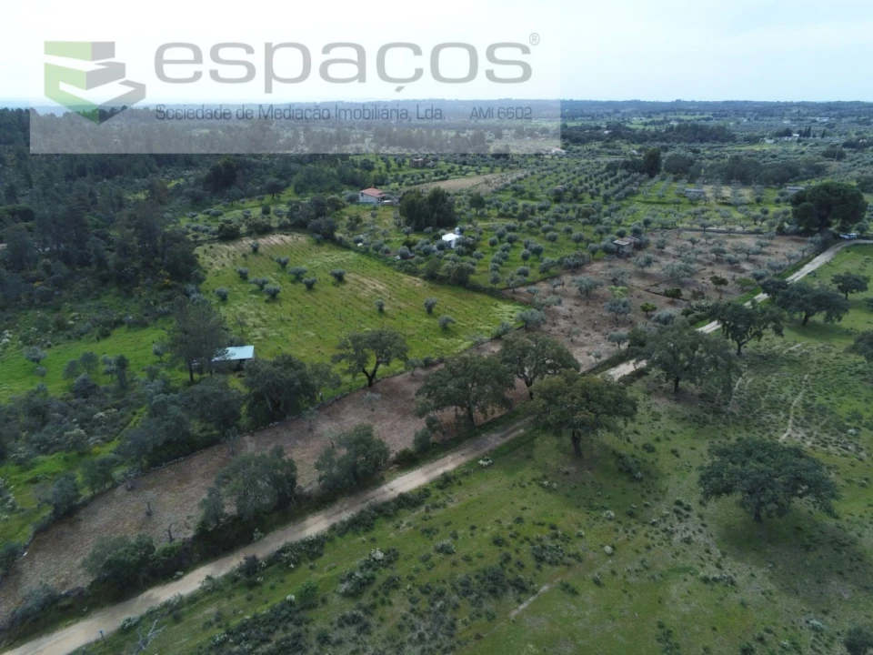 Terreno para Venda em Escalos de Cima e Lousa Foto 9