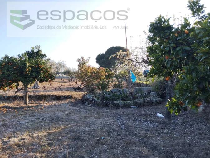 Terreno para Venda em Escalos de Cima e Lousa Foto 4
