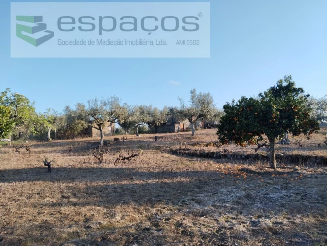 Terreno para Venda em Escalos de Cima e Lousa Foto 17