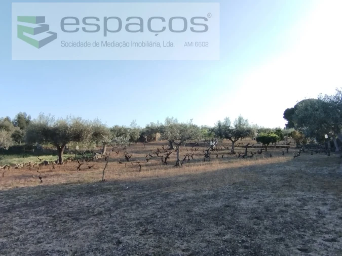 Terreno para Venda em Escalos de Cima e Lousa Foto 19