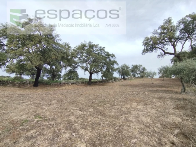 Terreno para Venda em Escalos de Cima e Lousa Foto 26