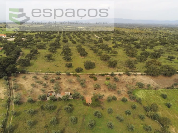 Terreno para Venda em Escalos de Cima e Lousa Foto 2