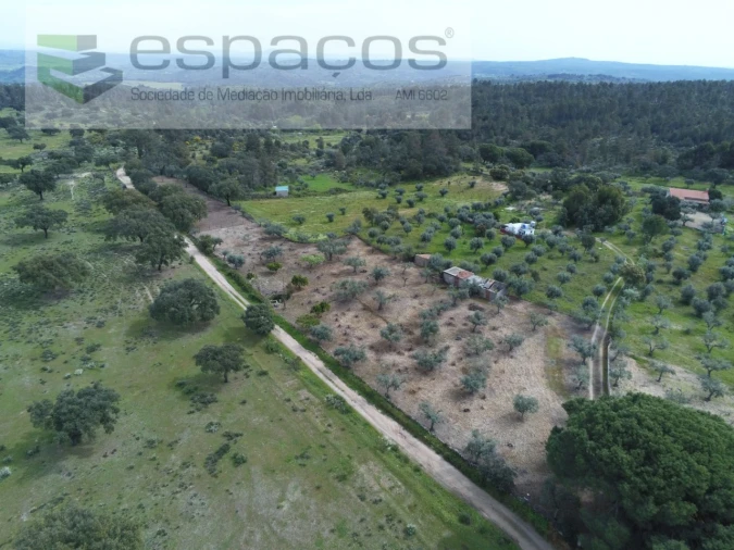 Terreno para Venda em Escalos de Cima e Lousa Foto 8