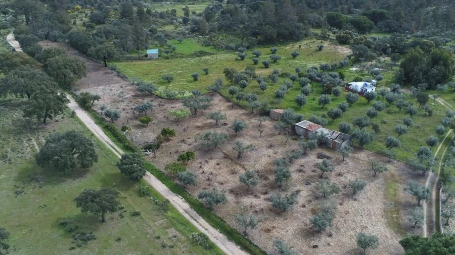 Quinta para Venda em Escalos de Cima e Lousa