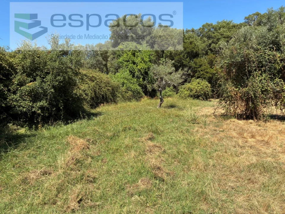 Terreno para Venda em Telhado Foto 4