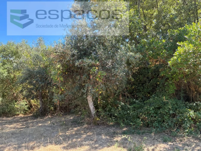 Terreno para Venda em Telhado Foto 6