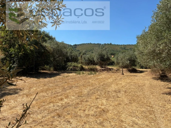 Terreno para Venda em Telhado Foto 9