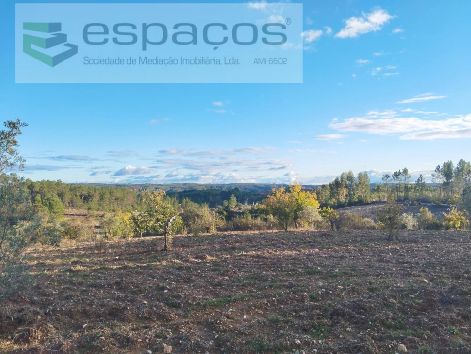 Terreno para Venda em Santo Andre das Tojeiras Foto 2