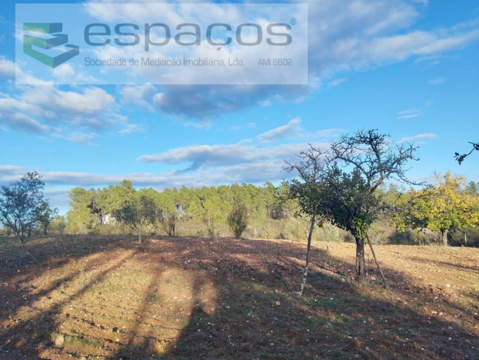 Terreno para Venda em Santo Andre das Tojeiras Foto 6