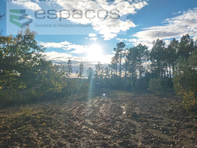 Terreno para Venda em Santo Andre das Tojeiras Foto 4