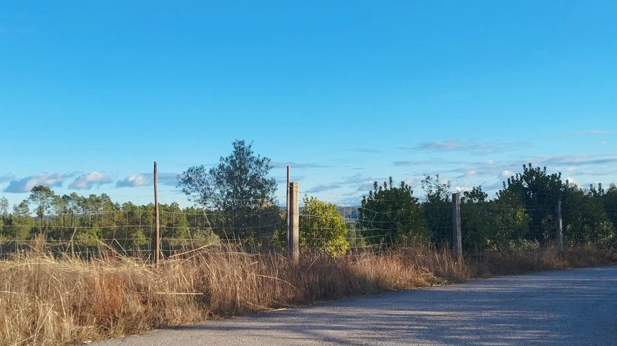 Terreno para Venda em Santo Andre das Tojeiras