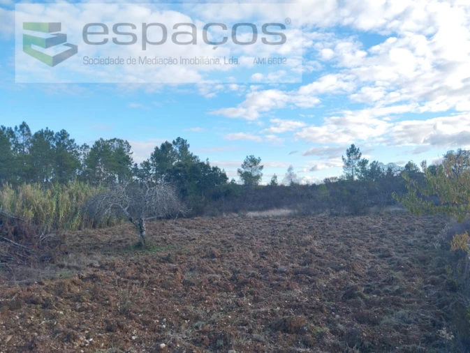Terreno para Venda em Santo Andre das Tojeiras Foto 2