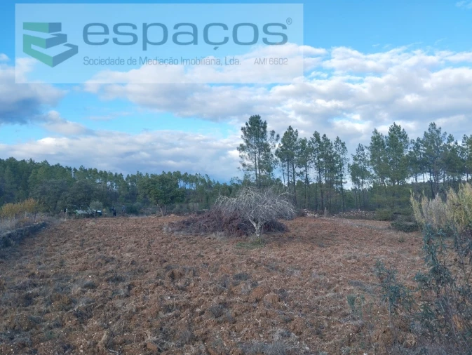 Terreno para Venda em Santo Andre das Tojeiras Foto 4