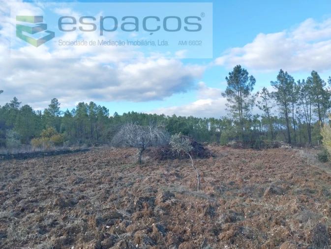 Terreno para Venda em Santo Andre das Tojeiras Foto 3