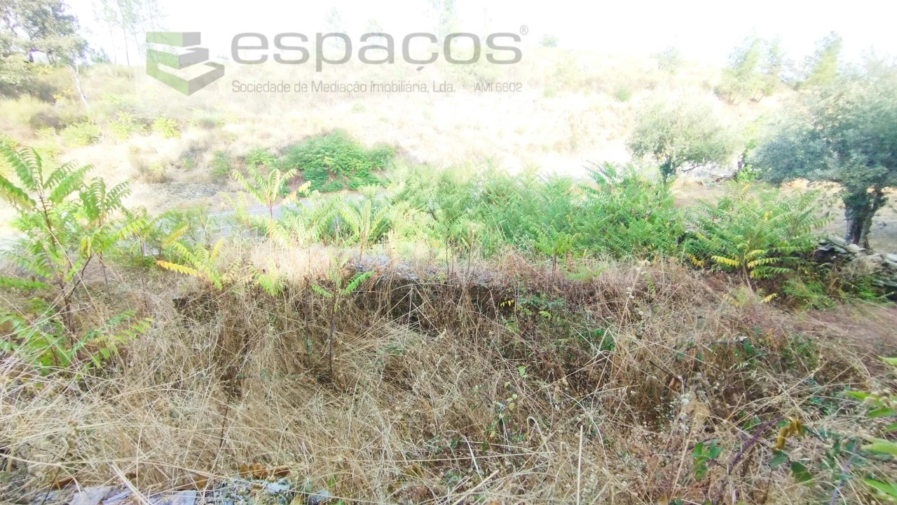 Terreno para Venda em Benquerenças Foto 5