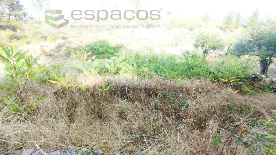 Terreno para Venda em Benquerenças Foto 5