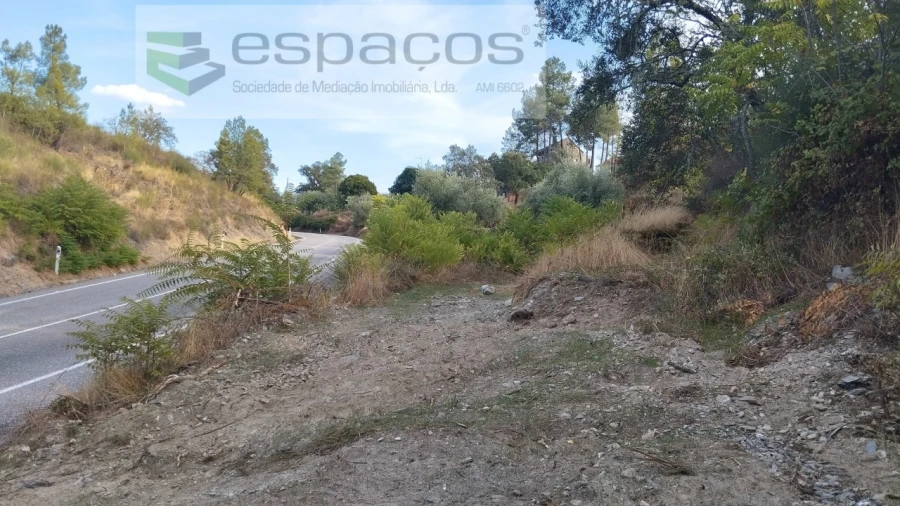 Terreno para Venda em Benquerenças Foto 6